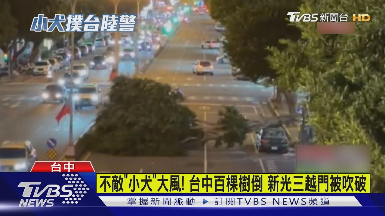 不敵「小犬」大風! 台中市百棵樹倒新光三越門也破了
