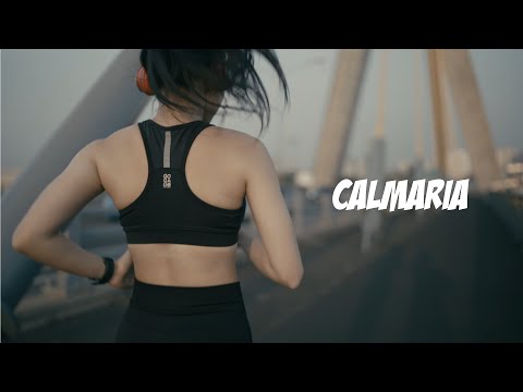 ?MÚSICA RELAXANTE: A Jornada para a Paz Interior ?