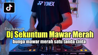 Download lagu DJ BUNGA MAWAR MERAH SATU TANDA CINTA TIKTOK FULL ... mp3
