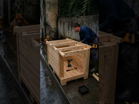 I Built a Warm Dog Shelter From an Old Pallet ❤️🐕 | Amazing DIY Transformation #shorts