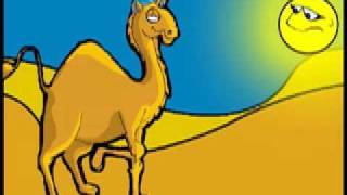 El Camello Music Video