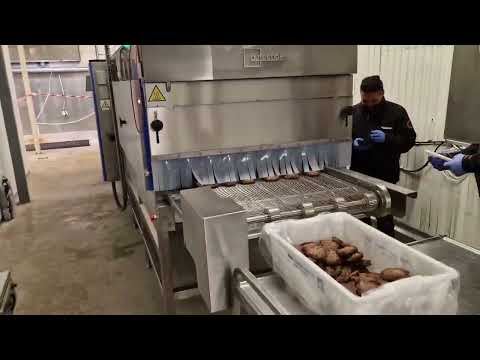 Testing new baking belt oven: hamburger, poultry NetCan in Poland