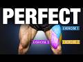 The PERFECT Leg Workout Backed By Science