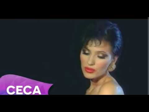 Ceca - Kukavica