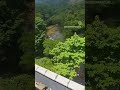 Kollam Sengottai Train Travel Most Beautiful Train Routes Kerala Tamil Nadu Reels Short Video