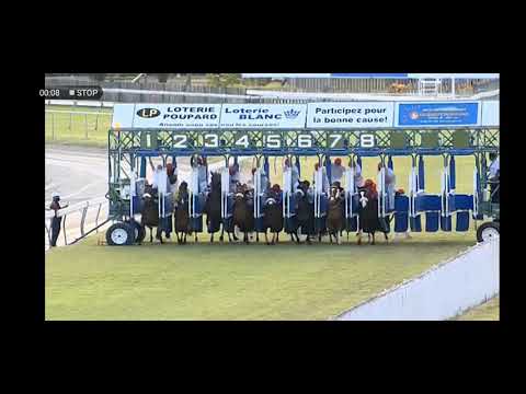 Table bay vs alshibaa