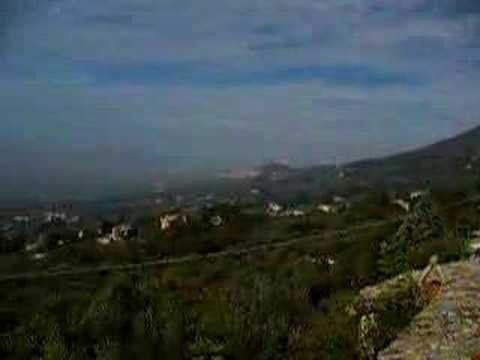 966PA Villa Belvedere, Viole