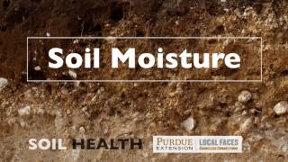 Soil Basics: Soil Moisture