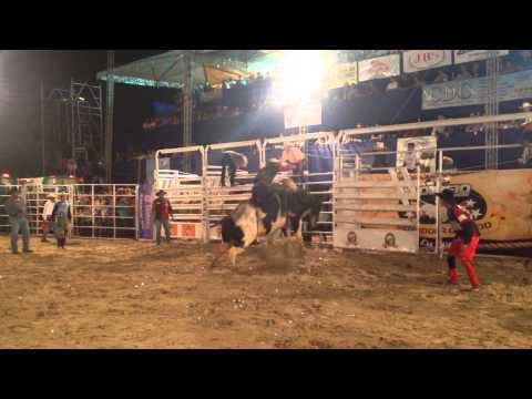 JULIANO REYS SENADOR CANEDO TUR 2014 PEDRO APARECIDO X ALDAQUIDA