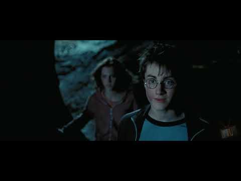 Гарри спасает сириуса от  дементаров гарри