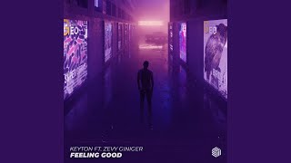 Feeling Good (Extended Mix)