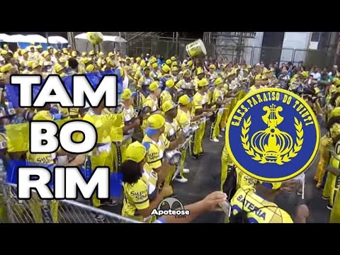 Paraíso do Tuiuti 2016 - Desenho de tamborim - Ensaio técnico