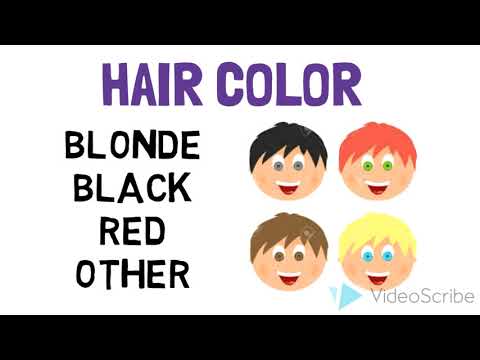 Intro to Statistics: Types of Data (Nominal, Ordinal, Discrete, Continuous)