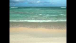 Steve McDonald -By Law / FFVIII