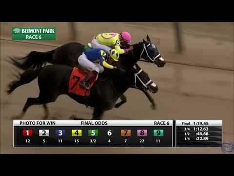 Maiden Belmont Park
