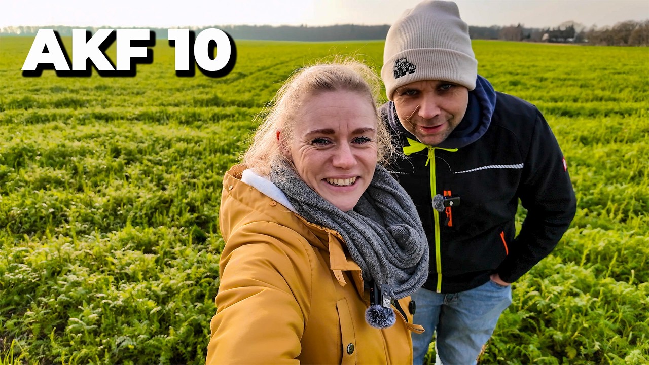 AKF #10 2025 Schluss mit Raps!. Zwischenfrucht zu spät gesät?