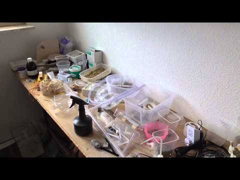 Lebenszeichen - Datenverlust