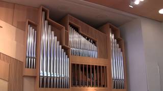 preview picture of video 'Turun urkuja 3 - Organs in Turku 3'