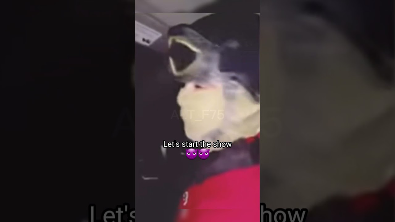 El Marino loko 🇲🇽🇲🇽🗡                               (The Crazy Marine