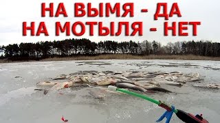 Ловля плотвы зимой на вымя