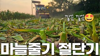 너무 깔끔해서 놀람 불스 마늘 줄기 절단기 트랙터 부착형