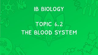 IB Biology Topic 6.2: The Blood System