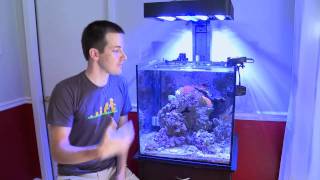 Mr. Saltwater Tank TV Friday AM Quick Tip #45: Like A Cattle Guard, But Different