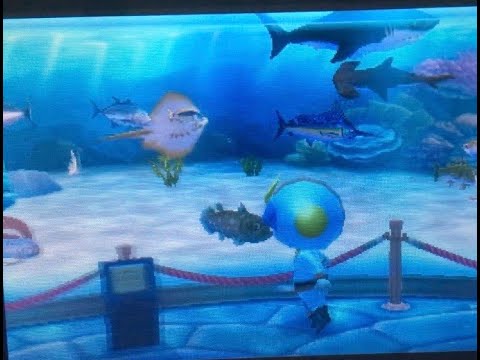 Week 5: First month complete (Animal Crossing New Leaf 100% challenge)