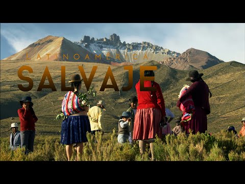 The Andes: A world in the clouds