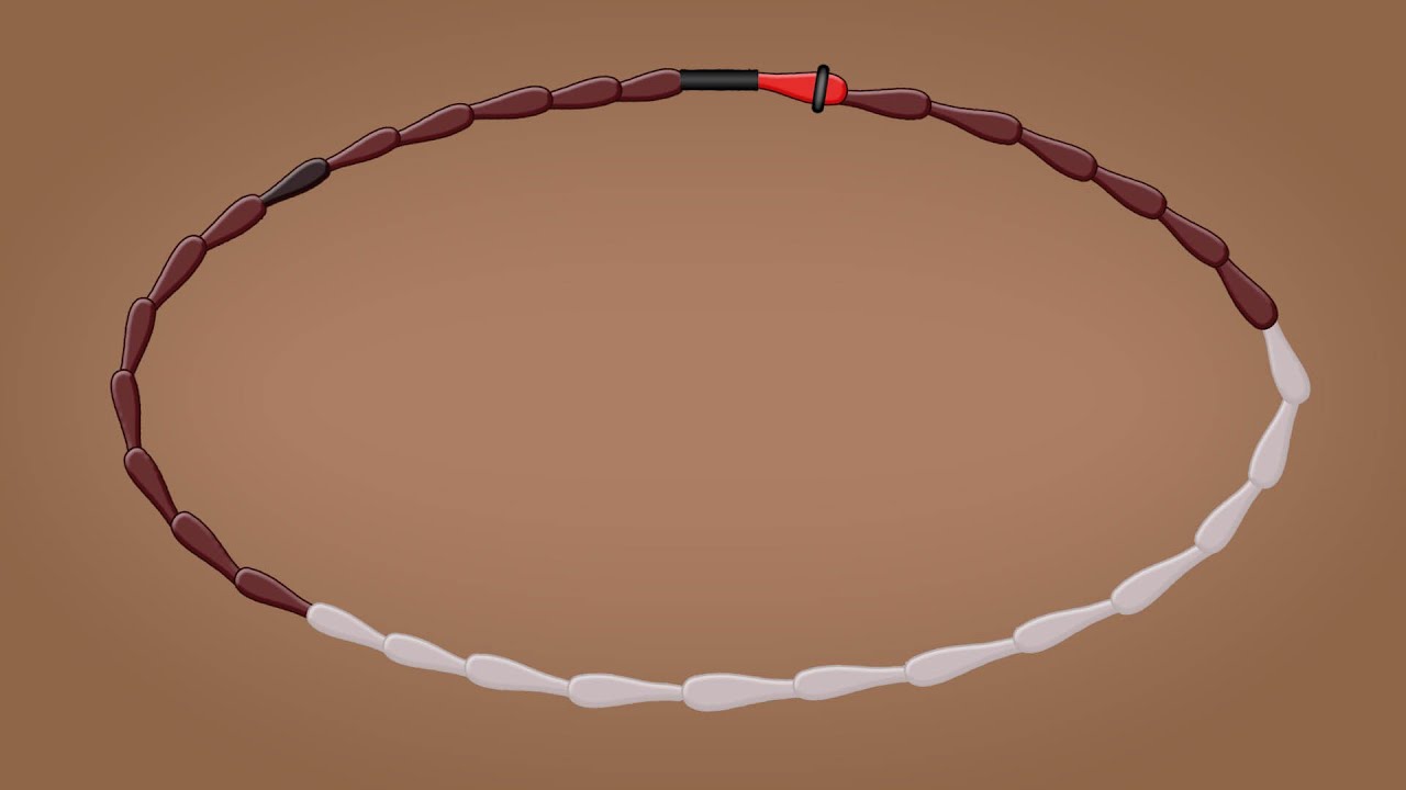 Calendar-based Methods (Health Workers) - Family Planning Series