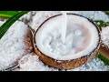 5 Reasons To Drink A Glass Of Coconut Milk Every Morning