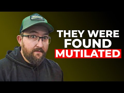 Investigator Exposes Disturbing Encounters In The Woods