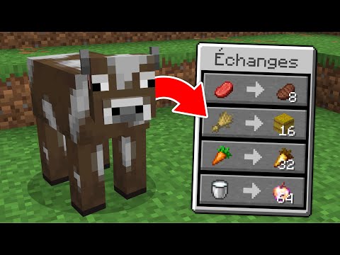 On Peut Échanger avec TOUS les Mobs sur Minecraft..
