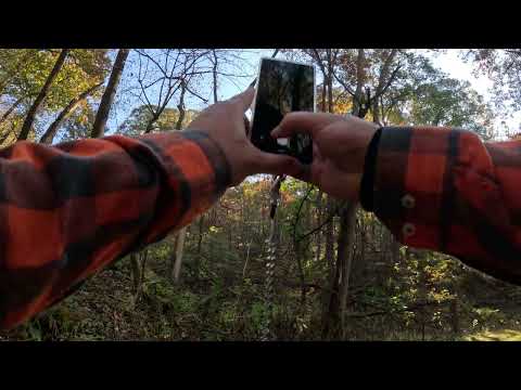 Perrot Park Brady Bluff Trail 10/25 (alternative path part 3)