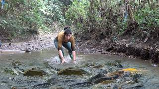 Interesting Fishing Skills on Rivers and Lakes, Use Skillful Fishing Techniques Catch a Lot of Fish