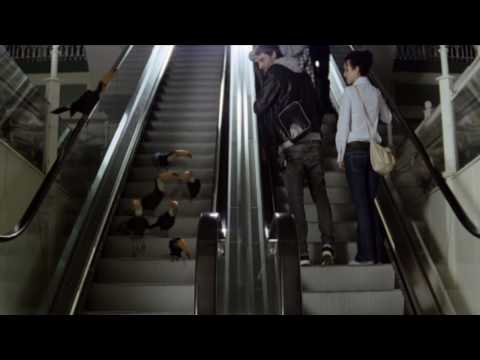 Guinness Commercial - Toucans