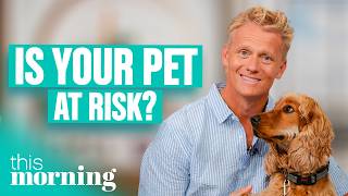 Are Dogs Stressed By The World Cup? | This Morning