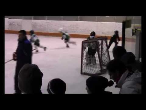 Veszprémi Jéglovagok