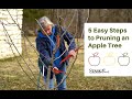 Video preview for Pruning An Apple Tree in 5 Easy Steps