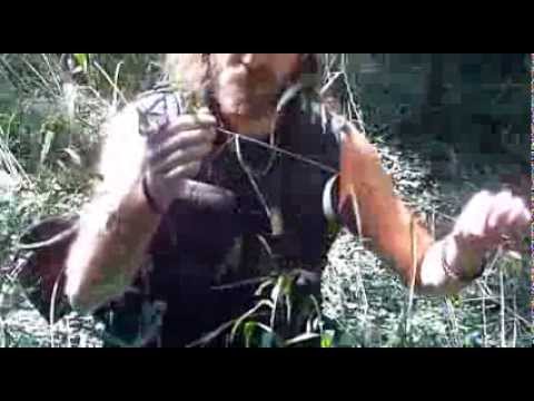 download lagu mp3 mp4 Chasmanthium Latifolium, download lagu Chasmanthium Latifolium gratis, unduh video klip Chasmanthium Latifolium