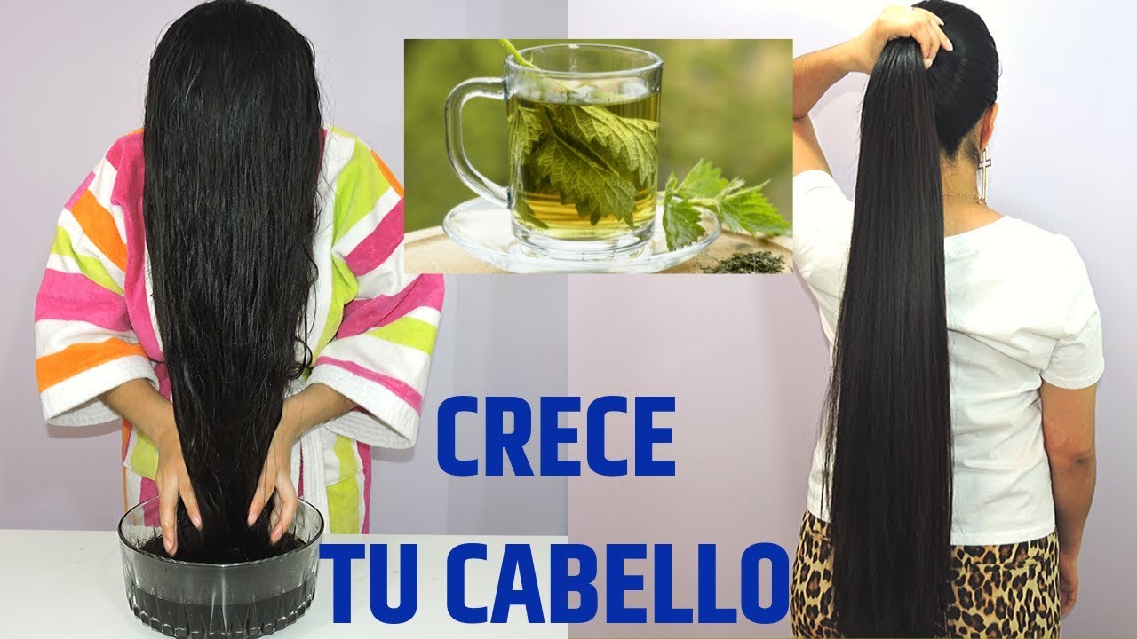 😱 Agua Milagrosa para Hacer Crece el Cabello y Detener la Caída en días / Agua de ORTIGA