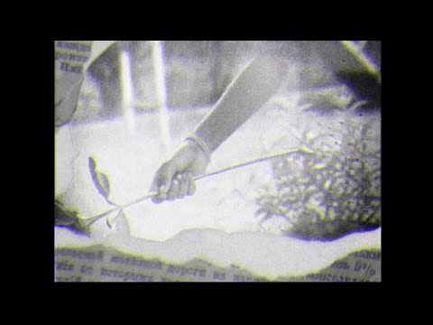 4.44 FM || PRIXITY || Official song || Prod. Slaasty  