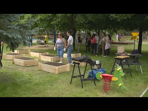 Krónika: Palánta Program a Rákosmenti Mákvirág Óvodában (2023.07.07.)