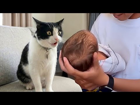 Cat Didn’t See This Coming When the Baby Arrived ❤️Cute Cat Reaction Ever!