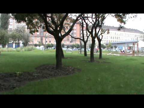 Budapest, Józsefváros - Teleki tér - 2015/10/10 kb. 14:00