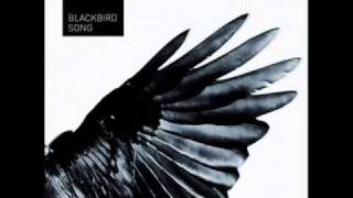 Duptribe Blackbird Sean Finn Remix