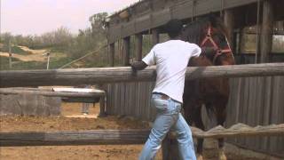 wahu feat bobby wine - Little Thing U Do .wmv