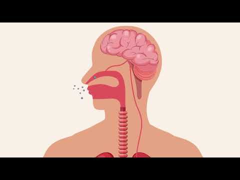 Ever Wonder How Coughing Works? Discover the science behind this natural reflex