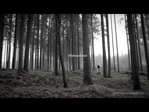 Wildheartforest - Putrefy