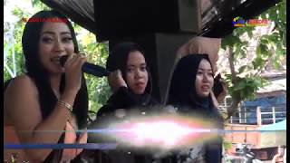 Download lagu REZA LAPENDOS & KIMCIL SYARIAH@KORBAN JANJI#satria nada live in weru werdoyo.. mp3